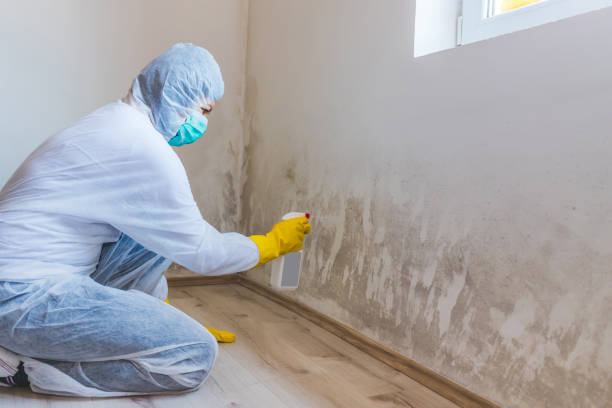 Mold Remediation specialist working in Fort Washington